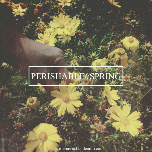 Alstroemeria : Perishable Spring